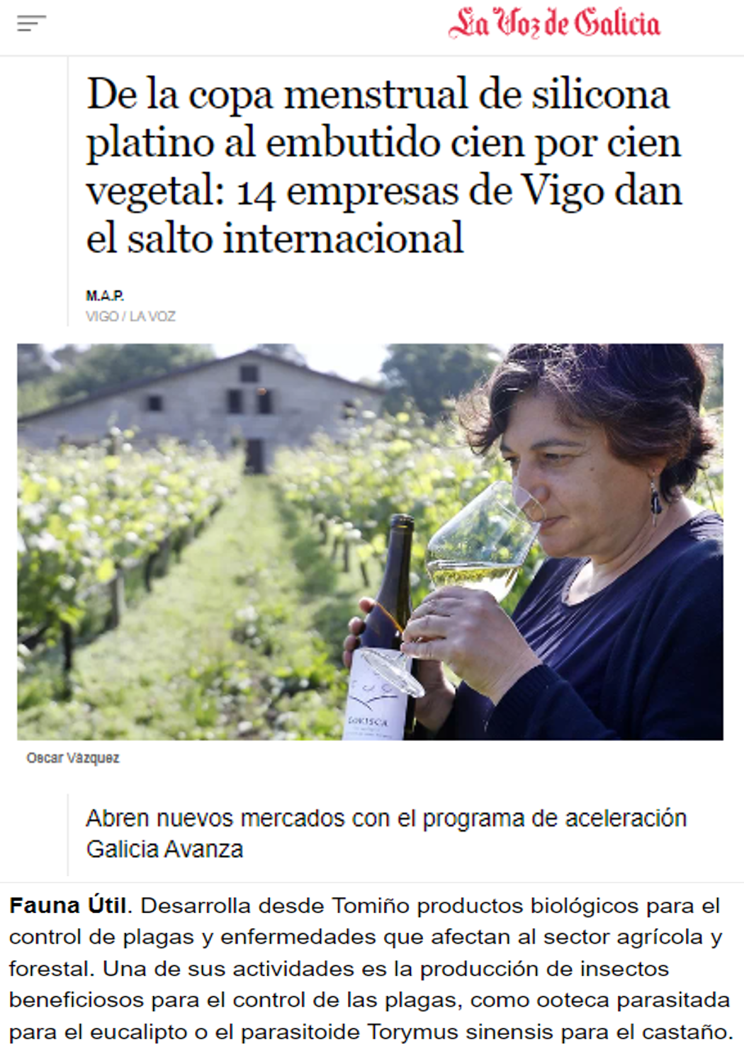 De la copa menstrual de silicona platino al embutido cien por cien vegetal: 14 empresas de Vigo dan el salto internacional